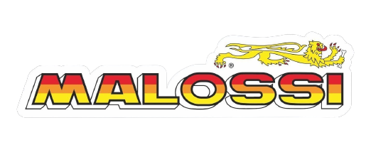 Malossi woord logo. Sticker 13 x 3 cm